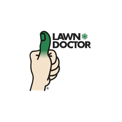 lawn doctor case study
