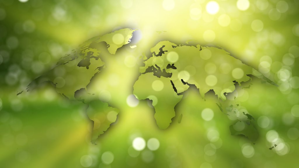 Going Green: How to Make Your Events More Eco-Friendly