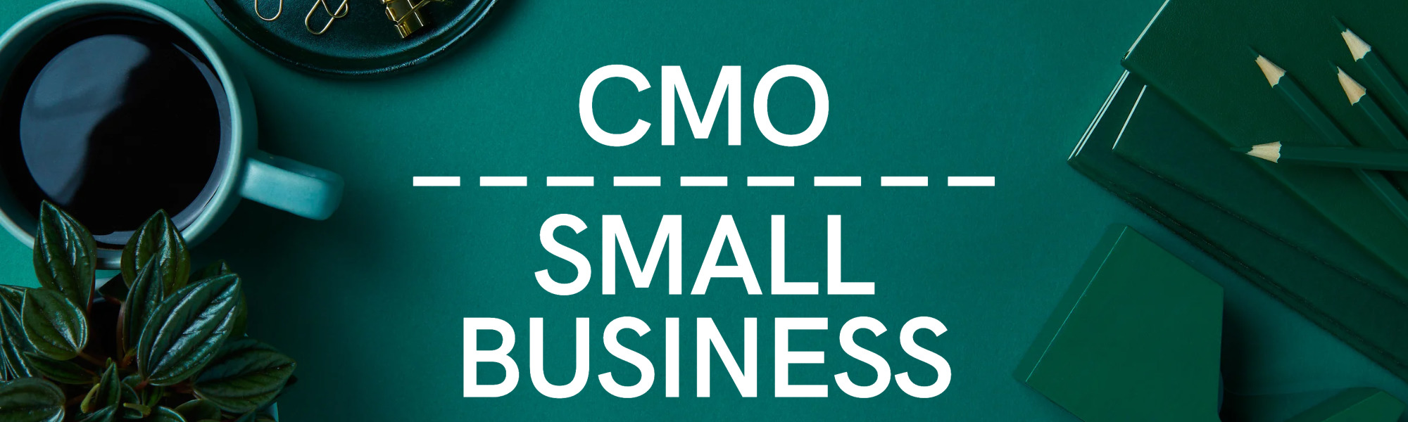 The Benefits of Having a Fractional CMO for Small Businesses